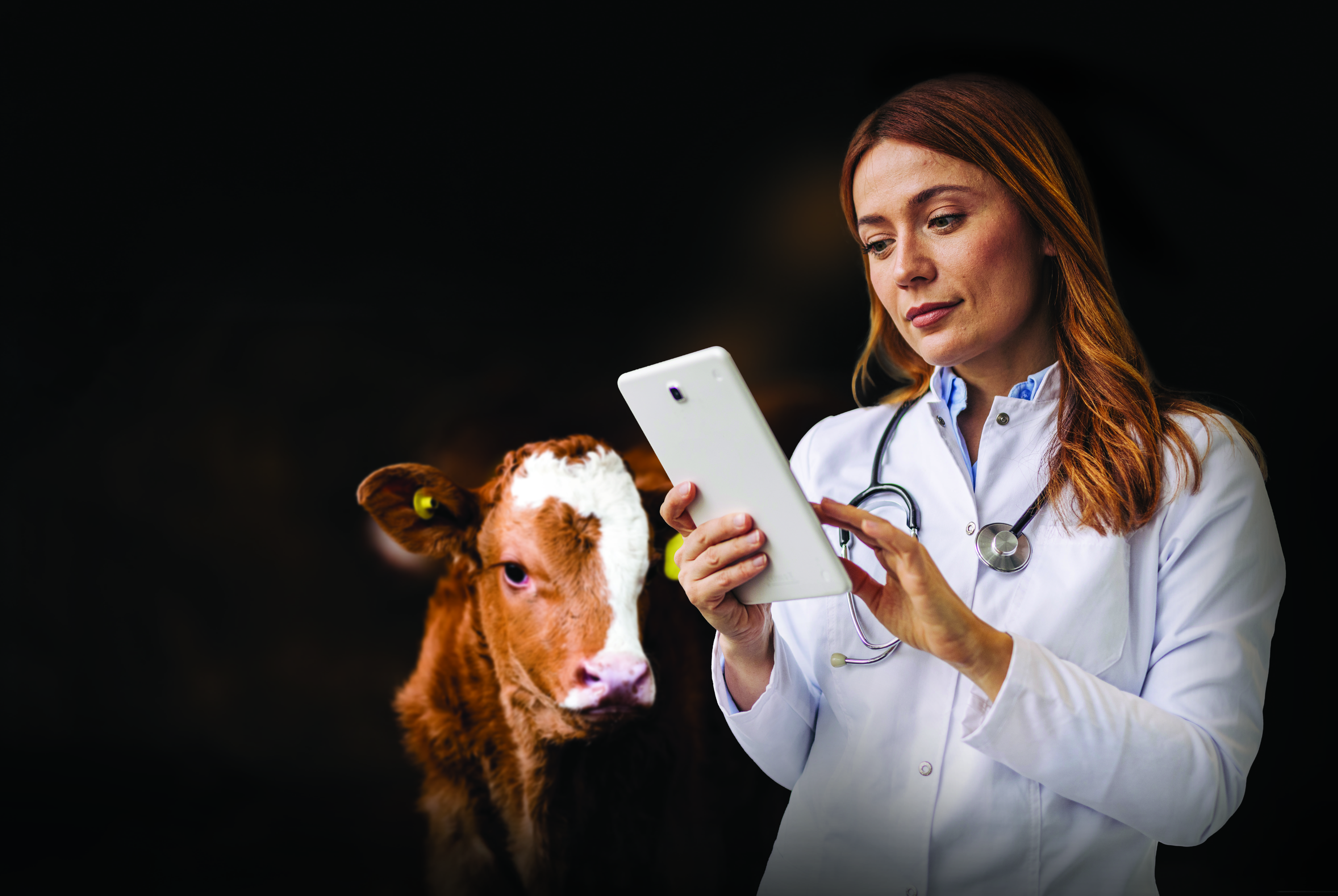 Hero image A1